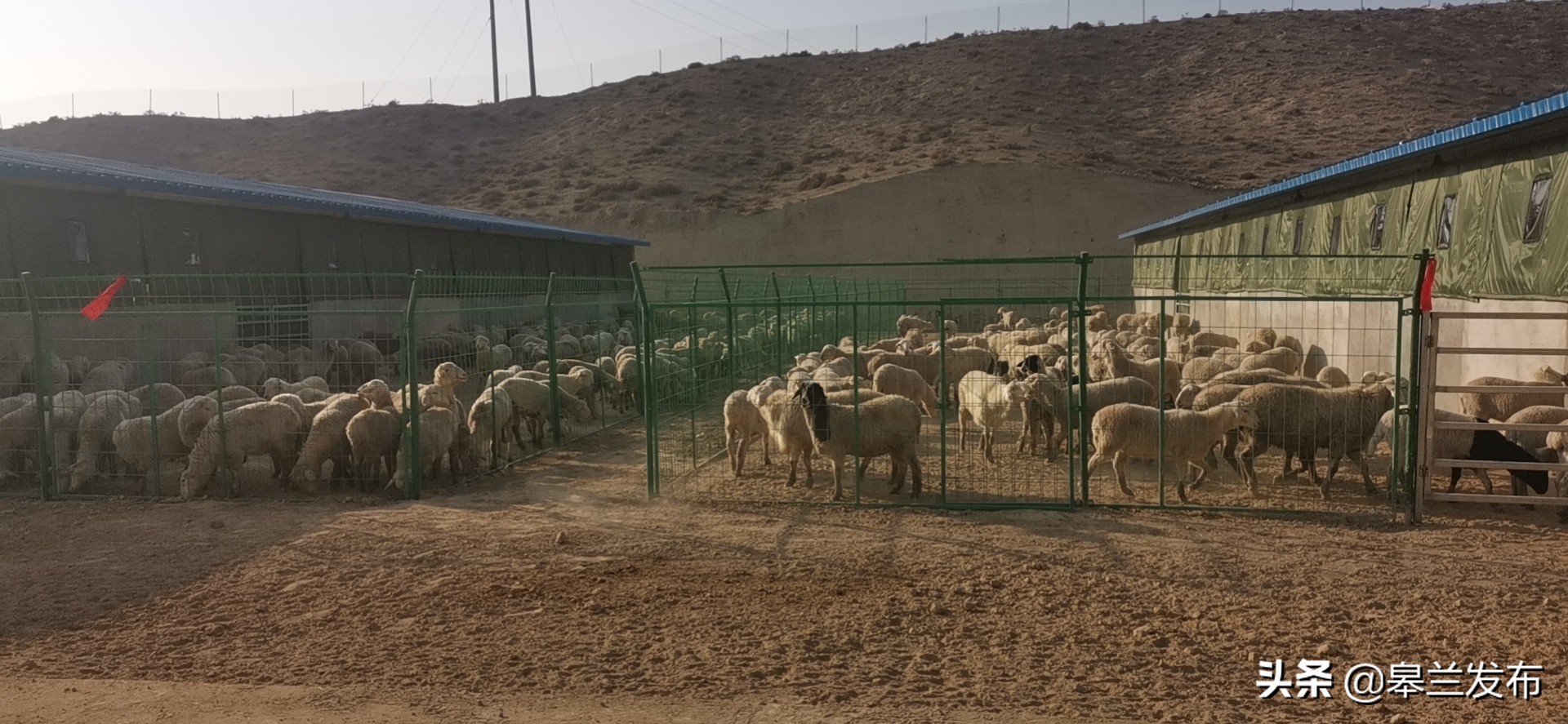 ������ʯ�����ˮ�壺��ֳ��ӭ����һ���������ˡ� Ϊ�弯�徭�÷�չע������ѪҺ