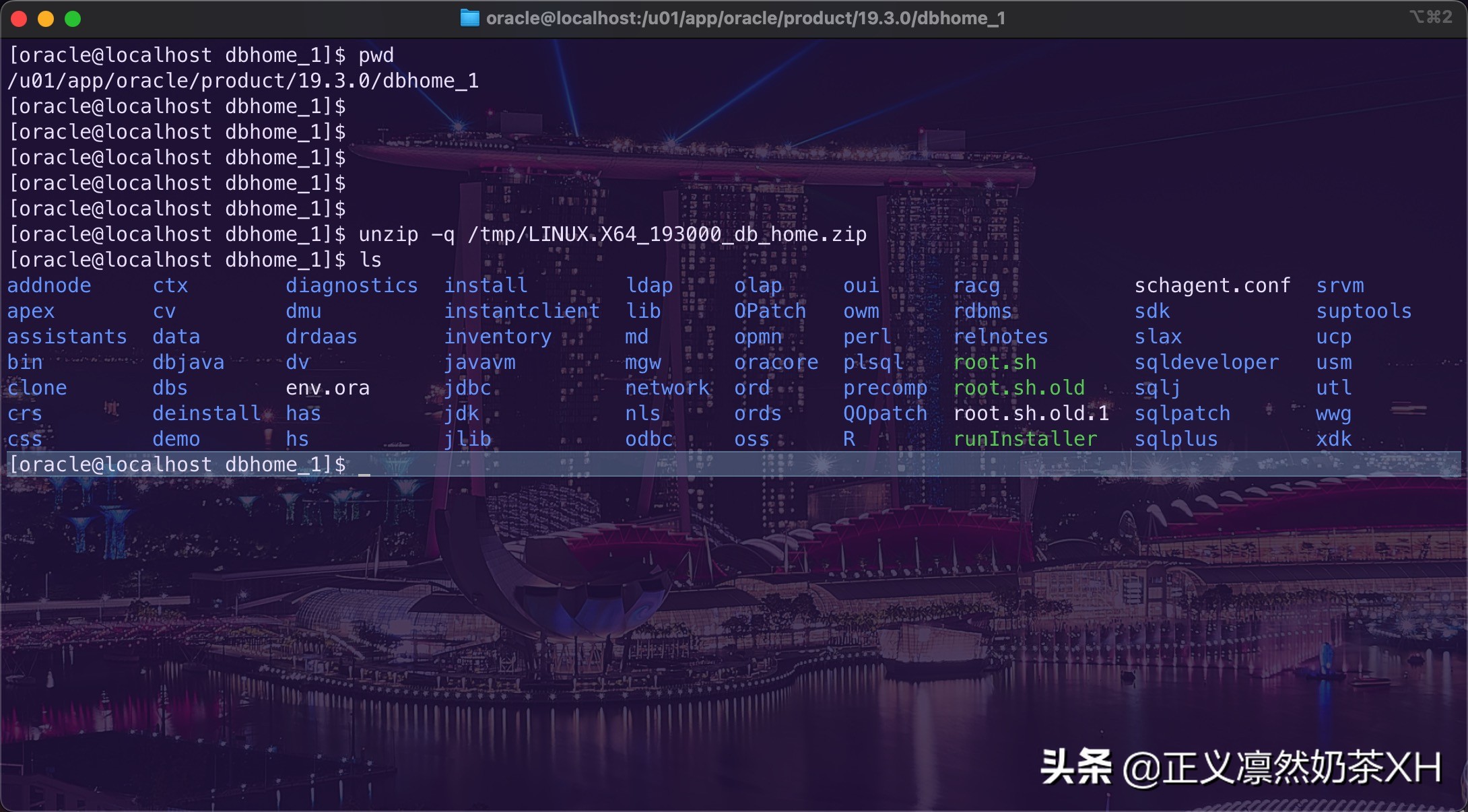 Oracle Linux 7 安装 Oracle 19C 第二部分