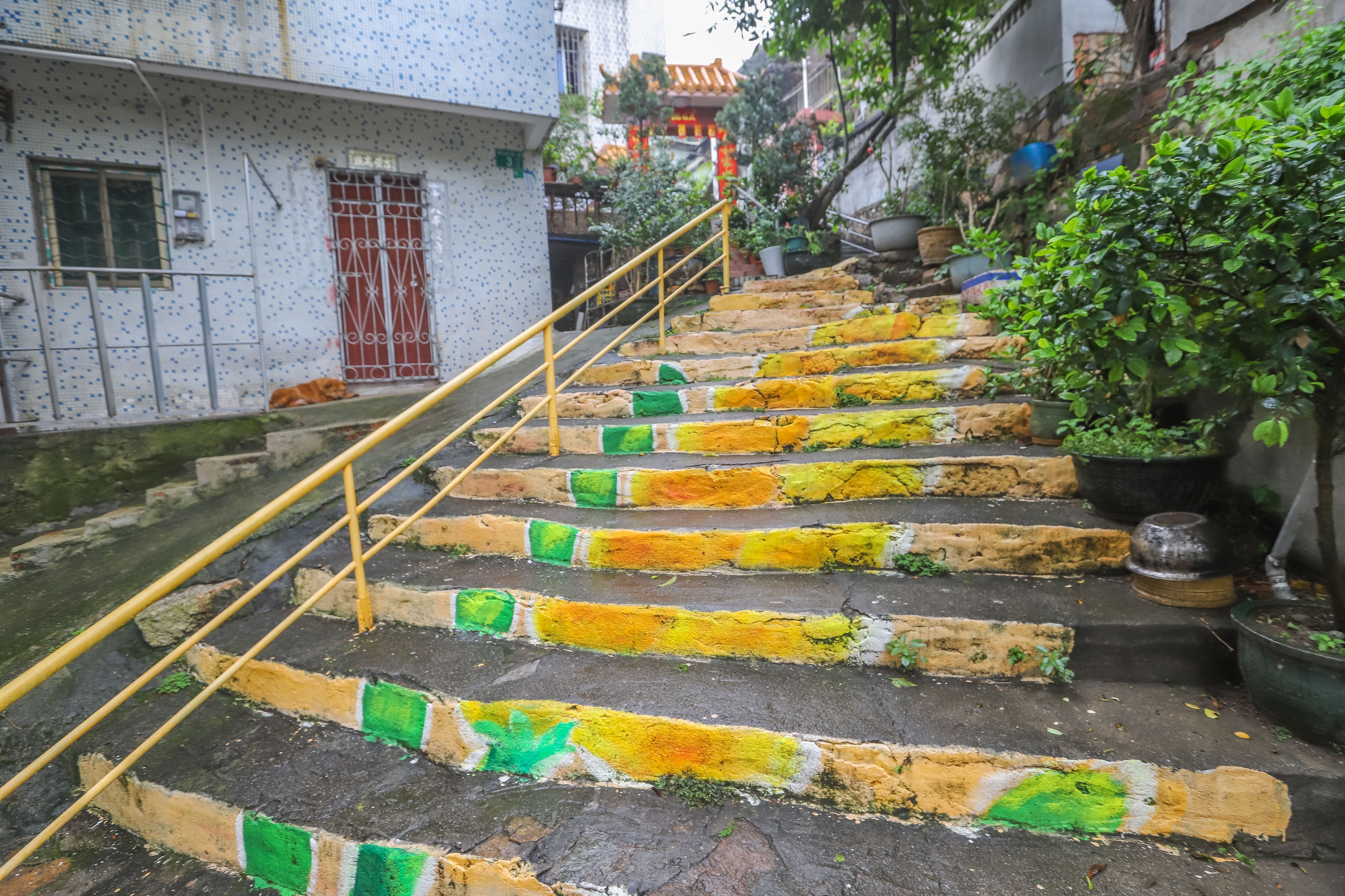 广州新晋网红景点，走进宫崎骏动漫里，南沙彩虹村拍照攻略
