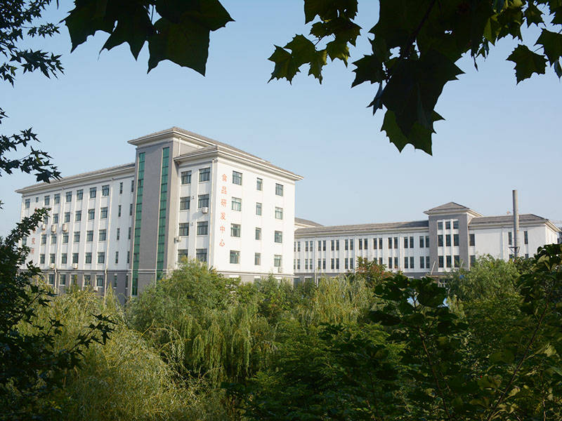 �̵���ƽ磬ɽ髾�Ϊʲô�����߾����أ�