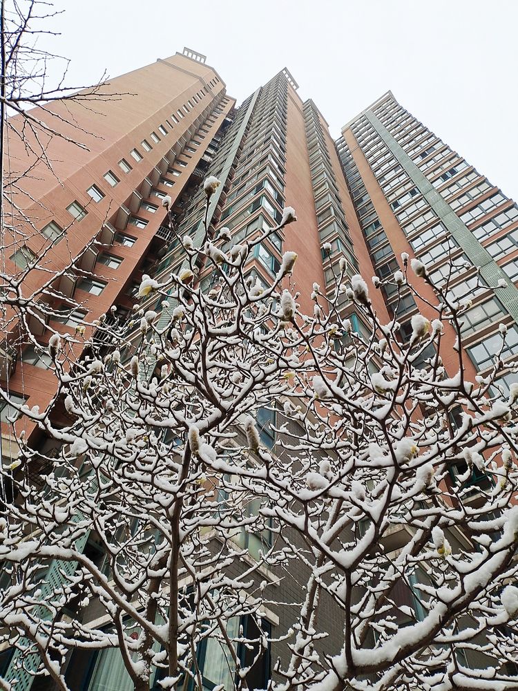 一场雪，让这里的春天真美 摄影/诗文：李武兵