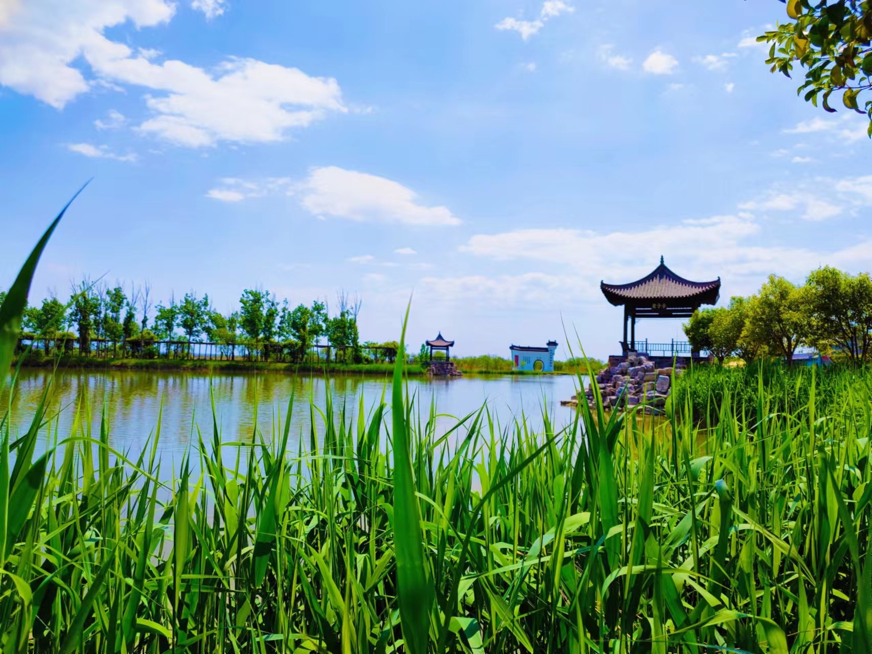 別樣美景在洽川