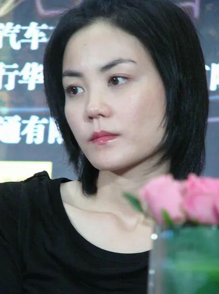 王菲，25张精美的照片