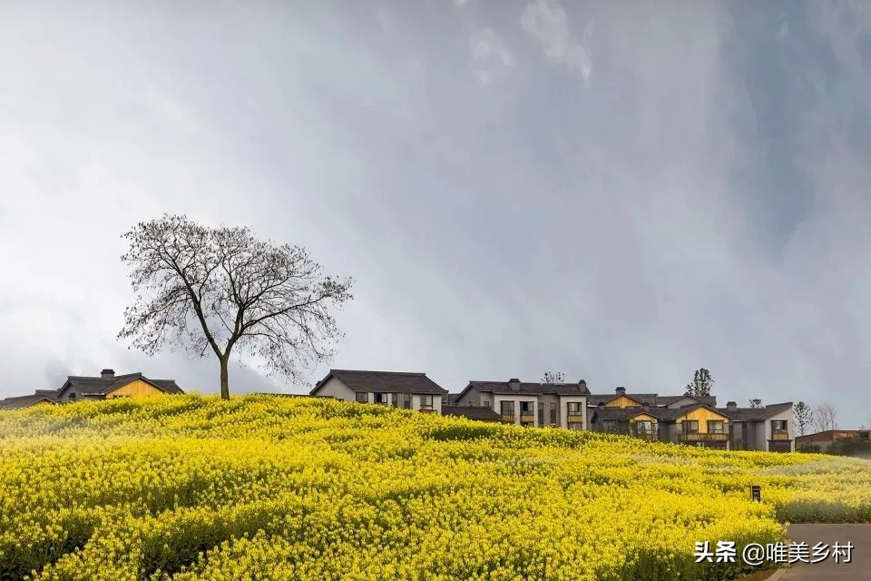 一号文件：“推进”乡村建设！过去、现在、未来？5大风向标