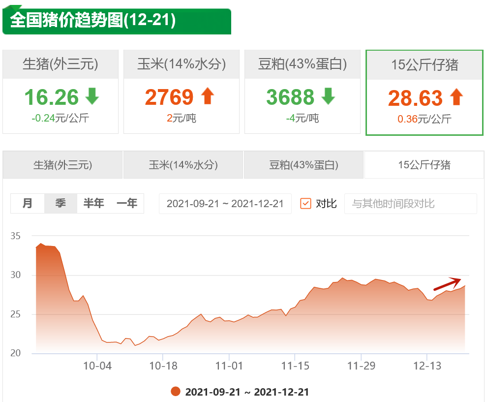 12月21日仔猪价格：均价上涨，西南下滑！局部成交略提振