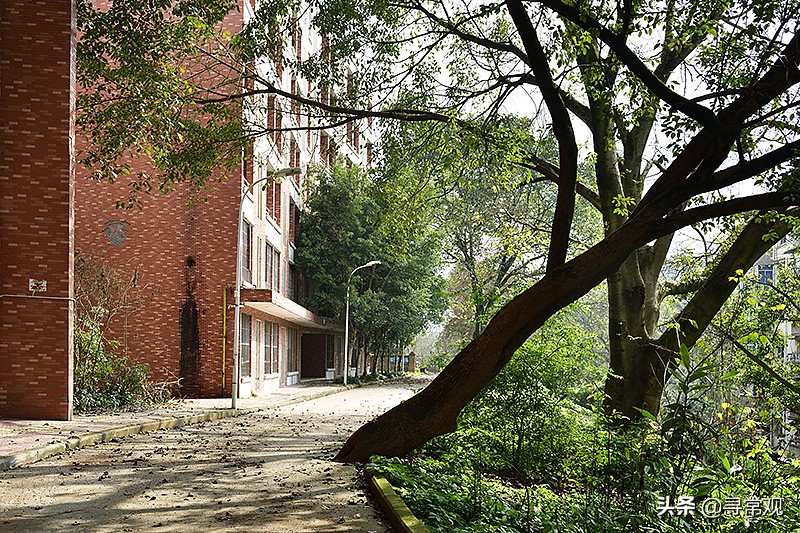 探秘重庆这座消失的“宇宙”大学，到处是荒废的宿舍楼