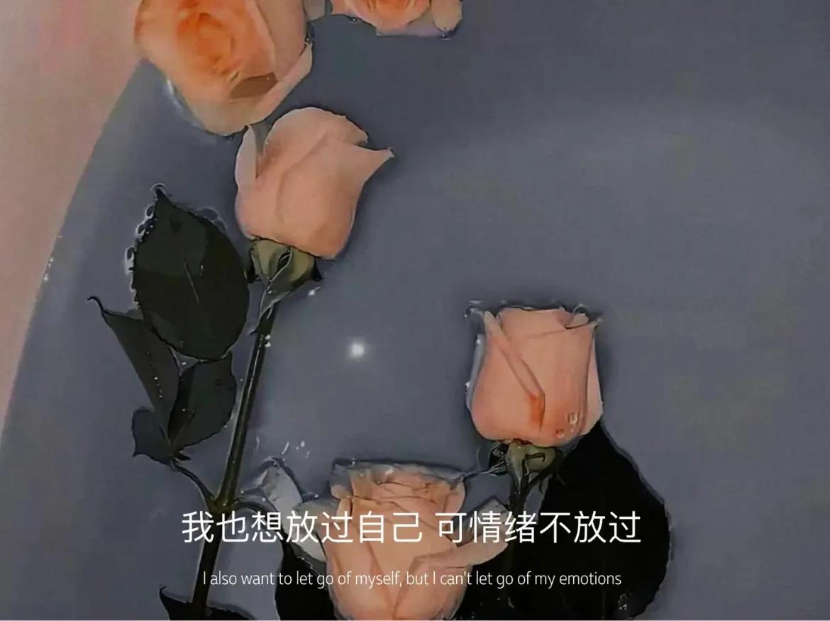 我长大了，也失去了曾经那种，无忧无虑的快乐