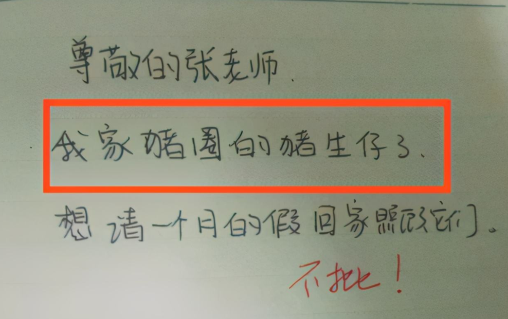 大学生“请假条”走红，理由逐渐变“沙雕”，看后让人笑出猪叫