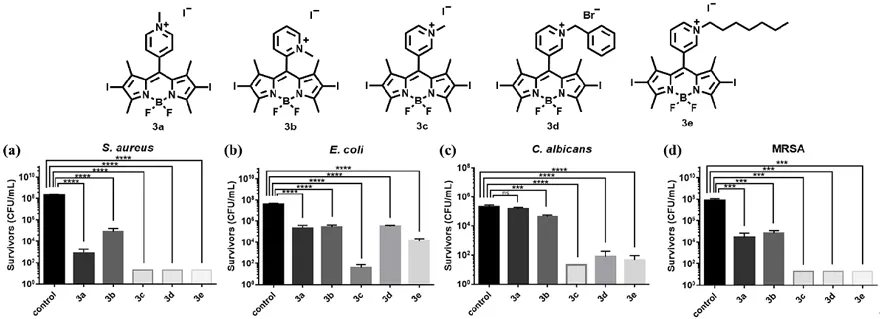 复旦大学赵伟利团队JMC吡啶季铵盐类BODIPY新型抗菌光敏剂的发现