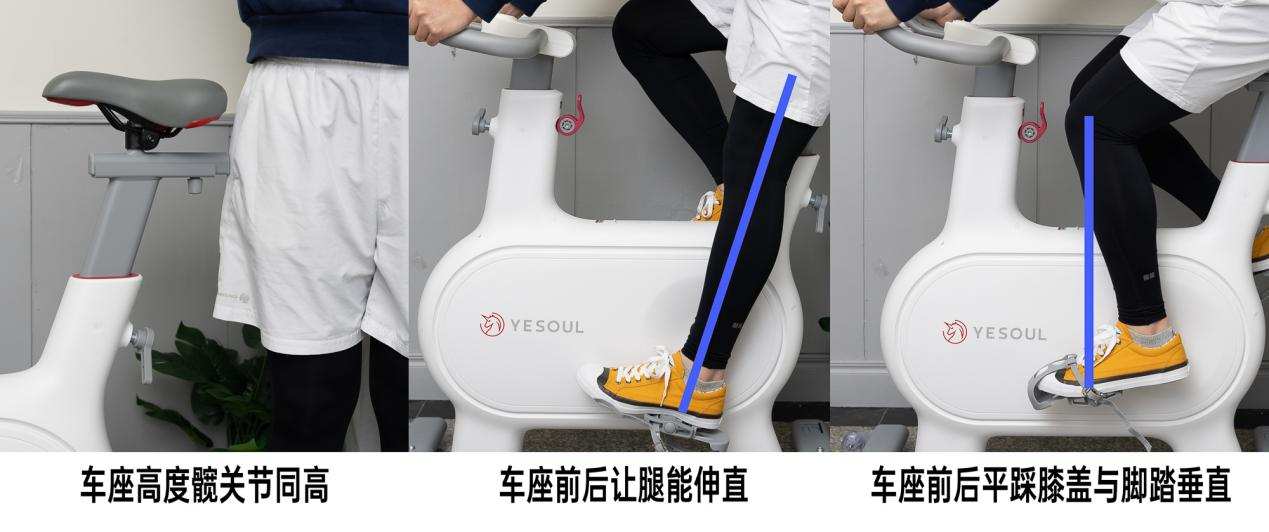 野小兽m2动感单车+健腹轮+健身手套—我的减重装备+饮食清单