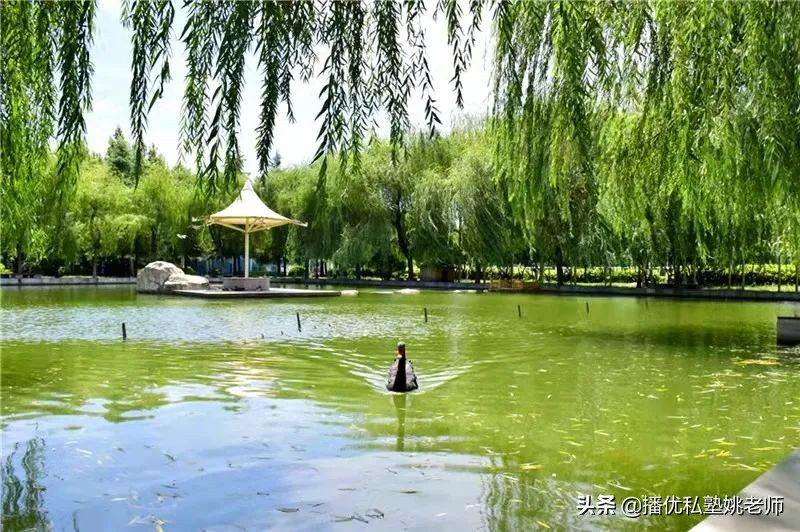 郑州中考一批次志愿怎么选？播优推荐的这几所高中都很热门