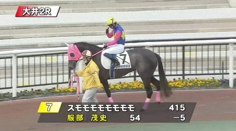 2021国外最全沙雕新闻来了！为什么这么好笑哈哈哈哈哈哈