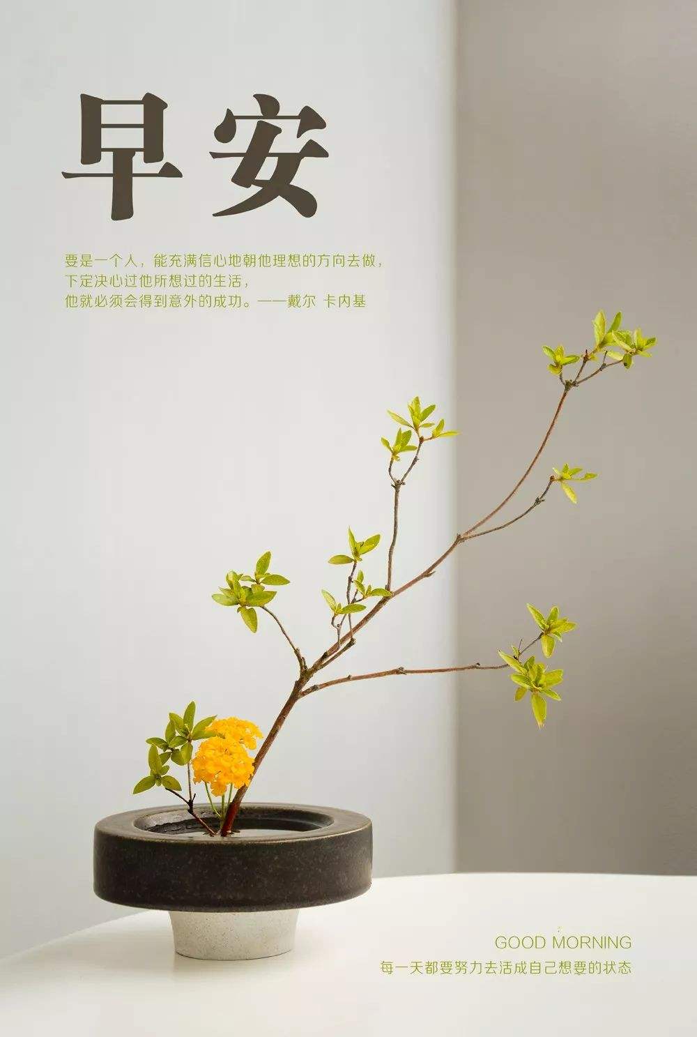 晨光微露心欢畅，一日好心情从微笑开始