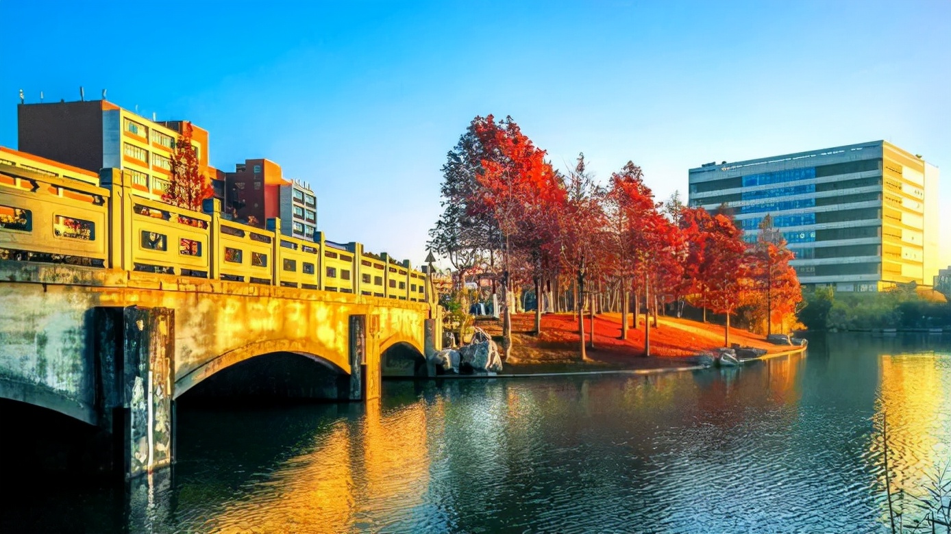 三年专业第一！上海这位全能学霸：捧回重量级大奖，全国仅26人！