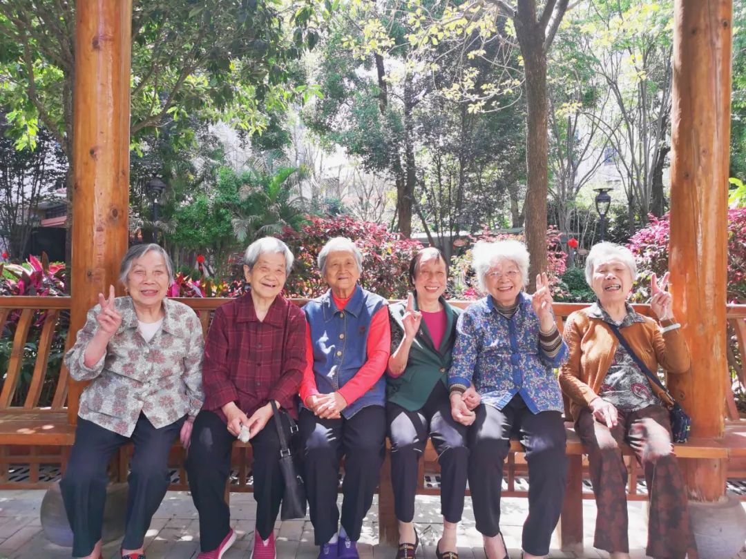 揭秘：国德小菜园为何惹人爱？