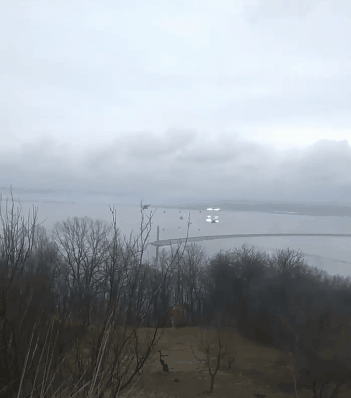 ���̰���ŵ���������ս��������4��ʧ�󣬾����ѵֵ�����ǽ��