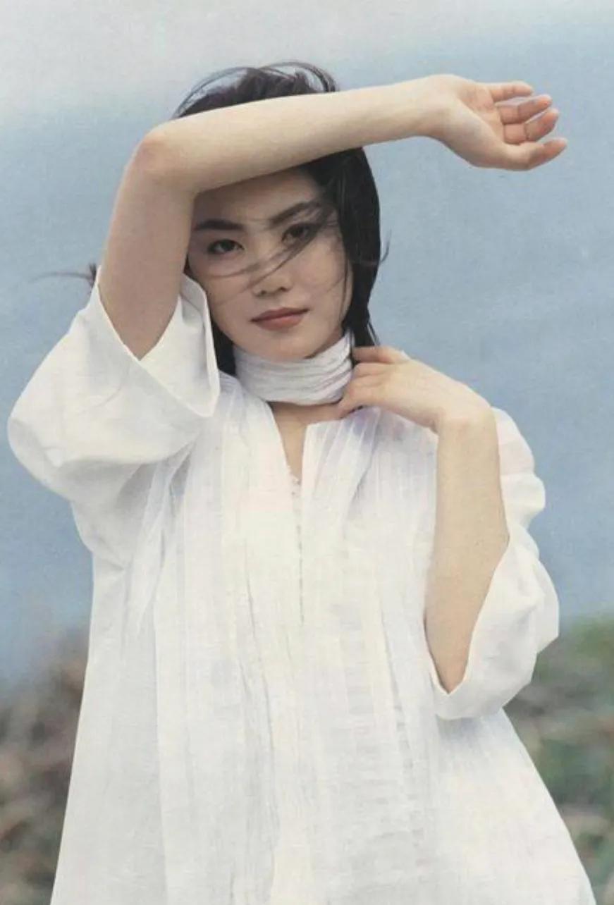 王菲，25张精美的照片