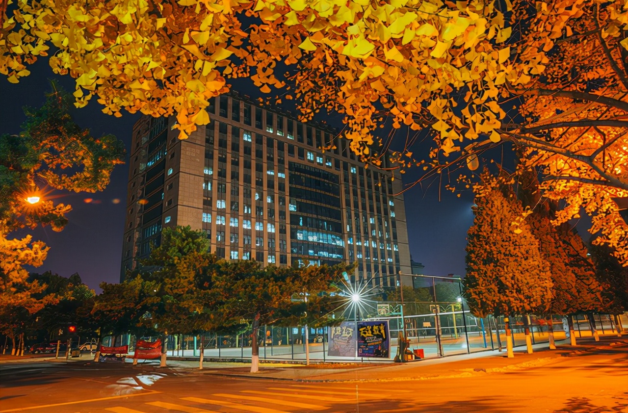 东北的大学排名（辽宁省高校排名）