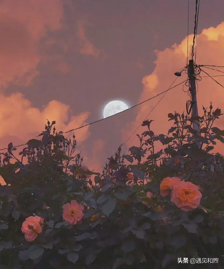 男人这样对你，很可能是想把你当免费“保姆”，要懂得远离