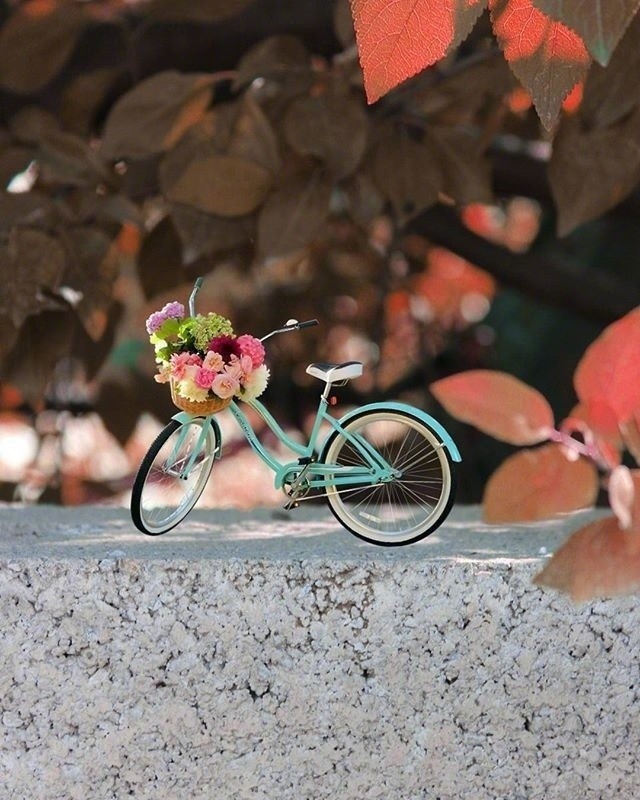 活出自己的人生金句，字字千金，富含哲理