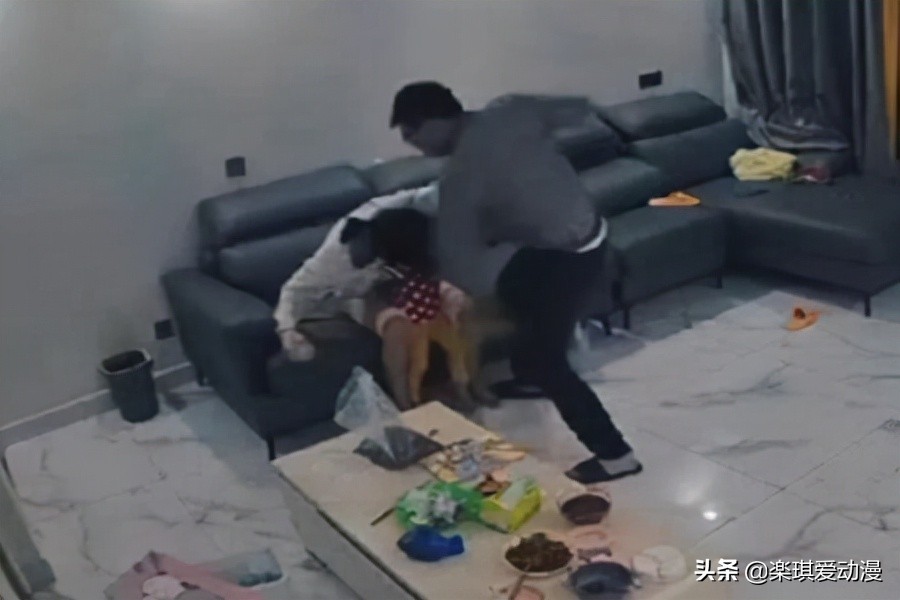 如果被家暴，你会怎么做？