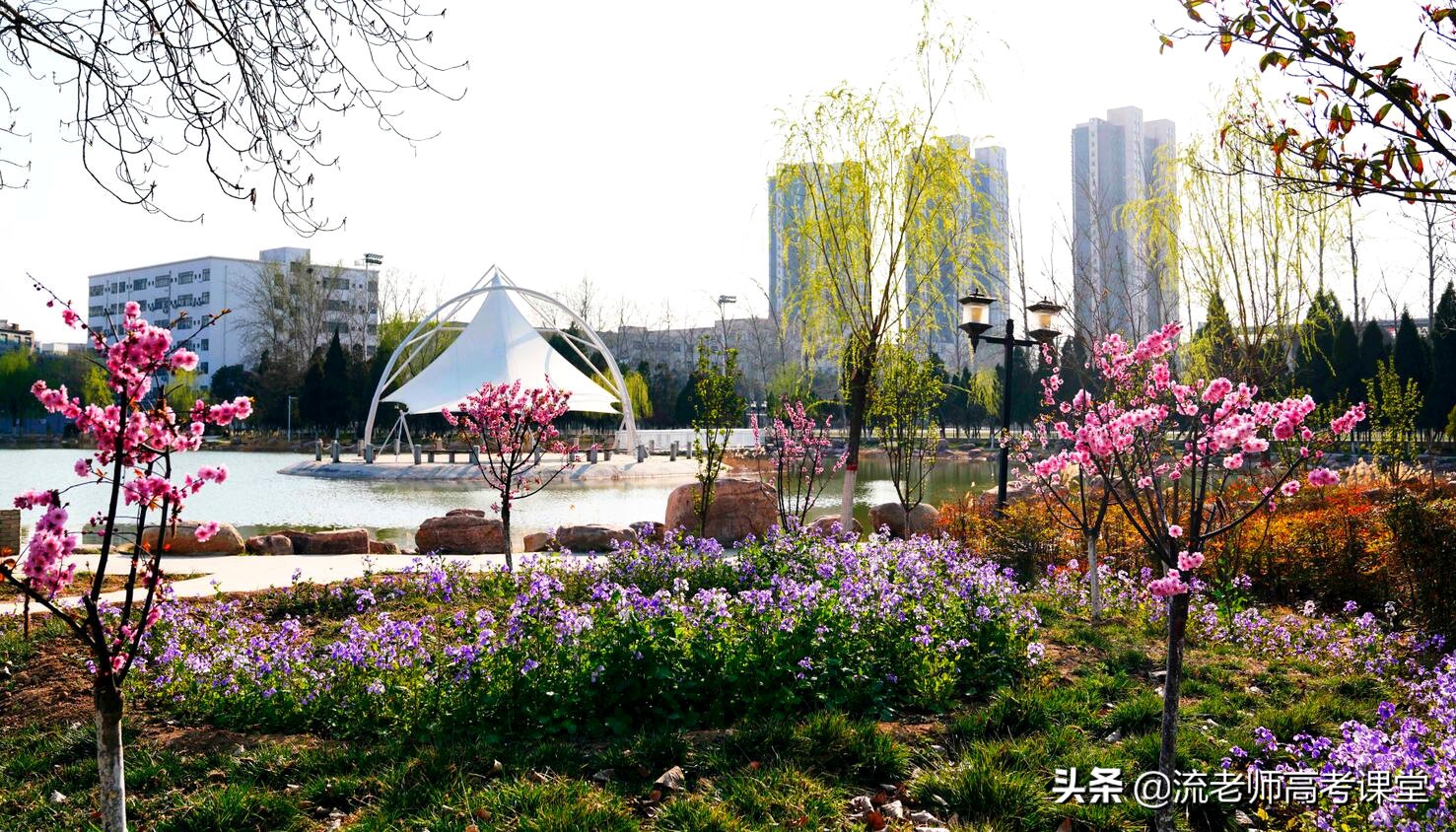 招生专业比较热门的两所医学院，性价比高，想当医生的考生可了解