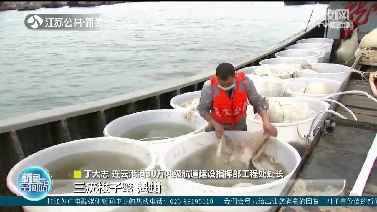 伏季休渔伊始 首批梭子蟹苗放流连云港海州湾