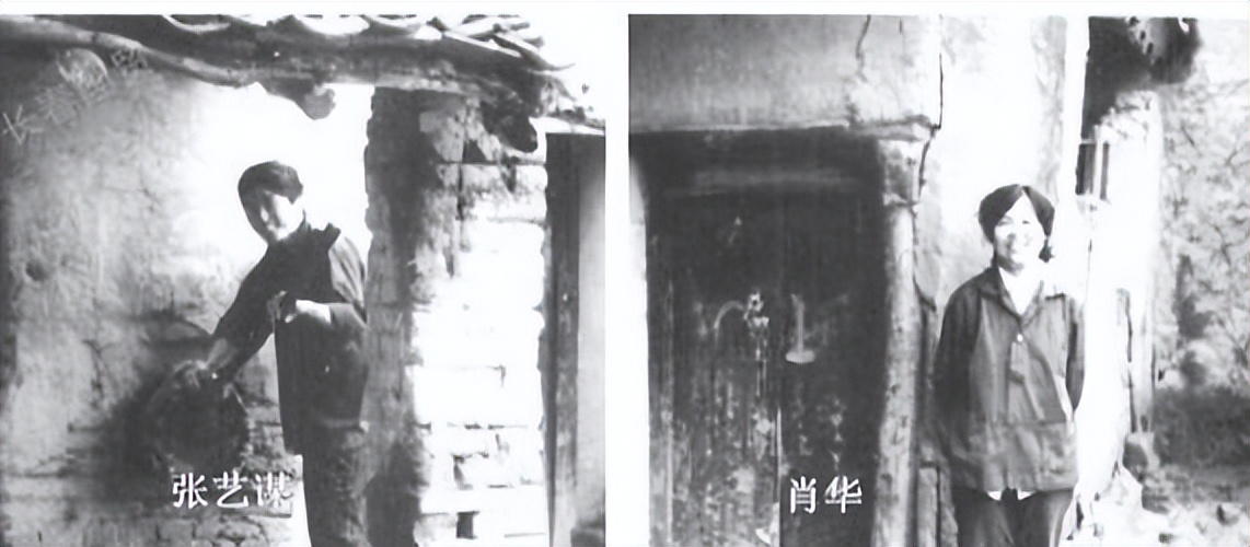 凤凰男多可怕？不想为别人而活的张艺谋，却将肖华的人生活成悲剧