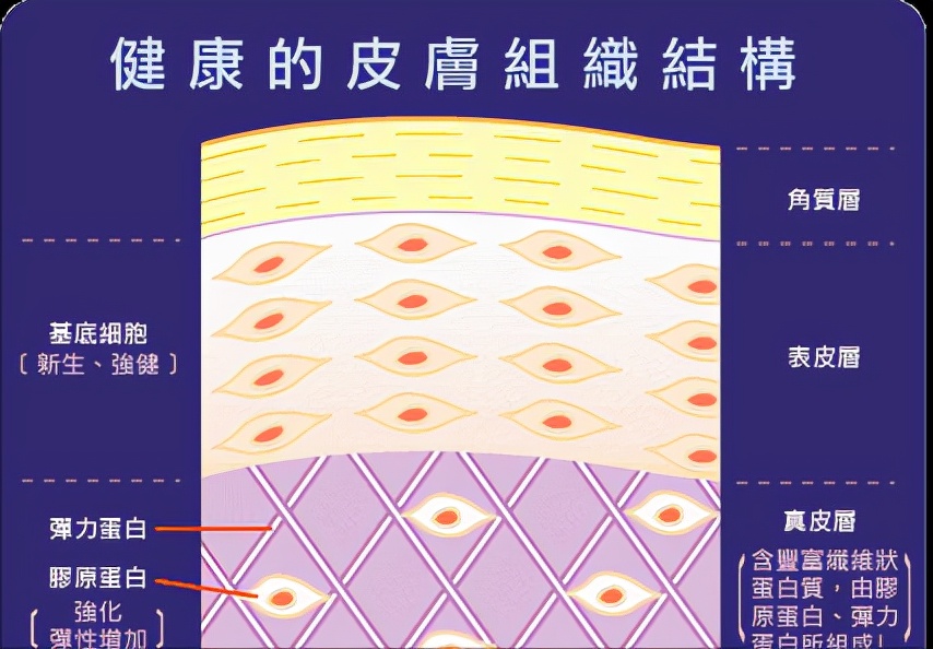 誓颜永恒：水、乳、霜、精华的正确护肤顺序