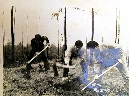 1977，我难以忘却的两次考试——我的高考我的梦