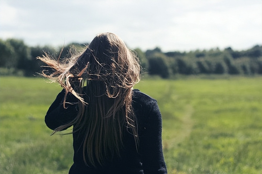 每天廉政心语简短