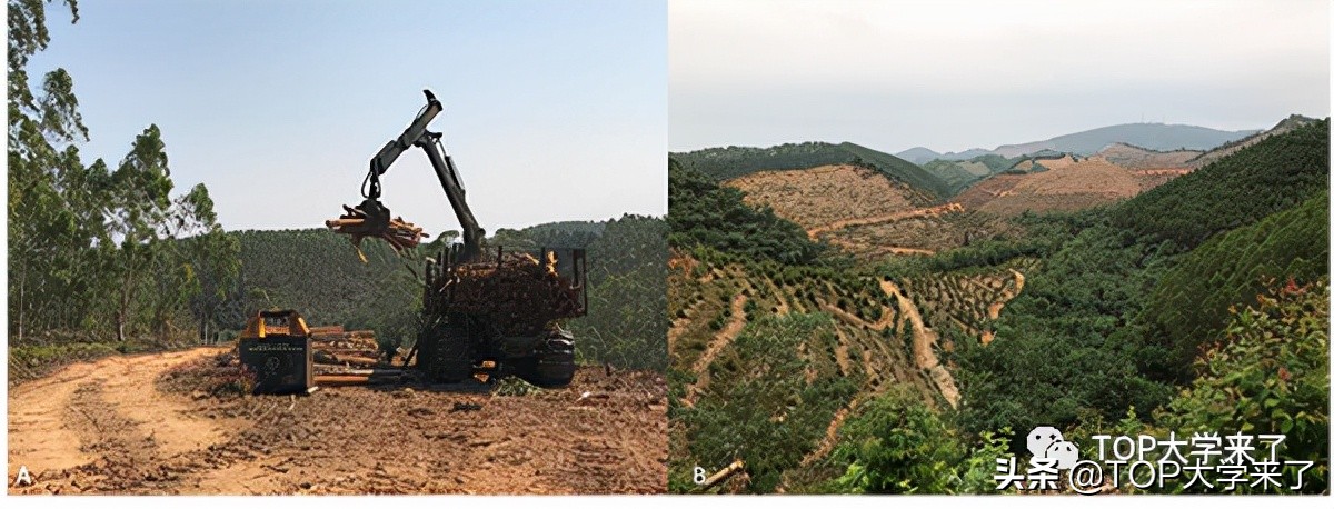 第5篇正刊！2022年北京大学华方圆课题组最新成果登《Science》