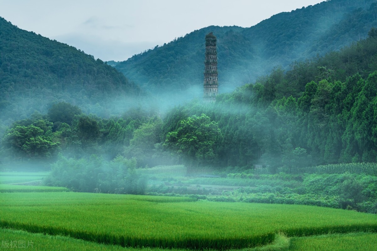 浙江的无人村，被绿色淹没的无人村庄，宛如世外桃源，却鲜有人知