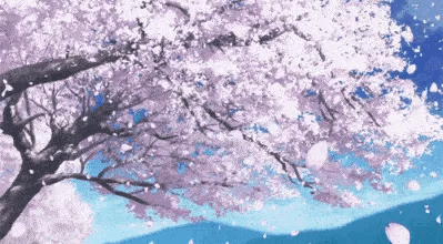 堆云叠雪，试手天工，疑是初春香雪风——樱花，岁岁花开树树春