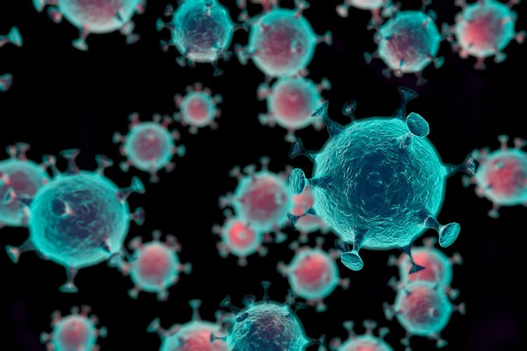 2003年让人胆寒的非典，是如何消失的？为何新冠却难以消除？