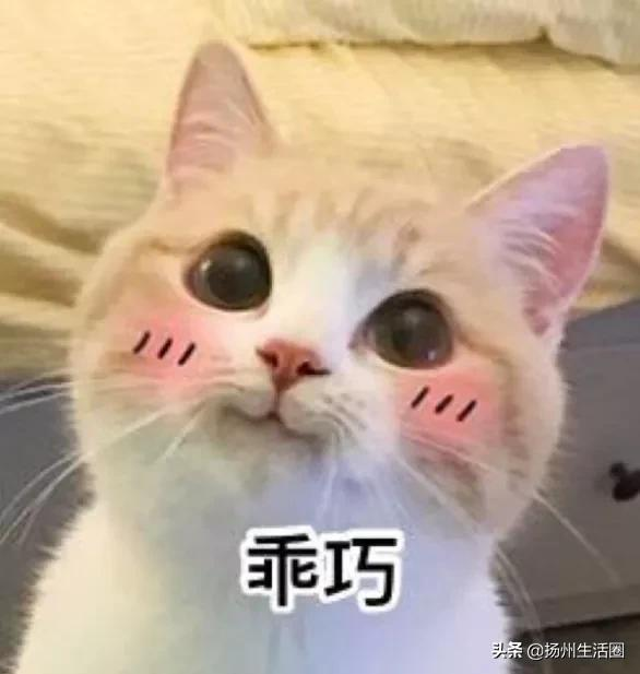扬州拆迁,扬州拆迁补偿标准明细2022