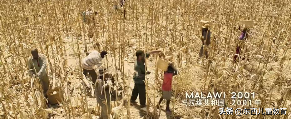 我挖到一部超棒的电影！娃看完大受震撼，主动说要好好学习