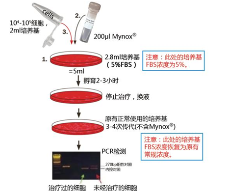 珍貴生物樣品 清除支原體試劑