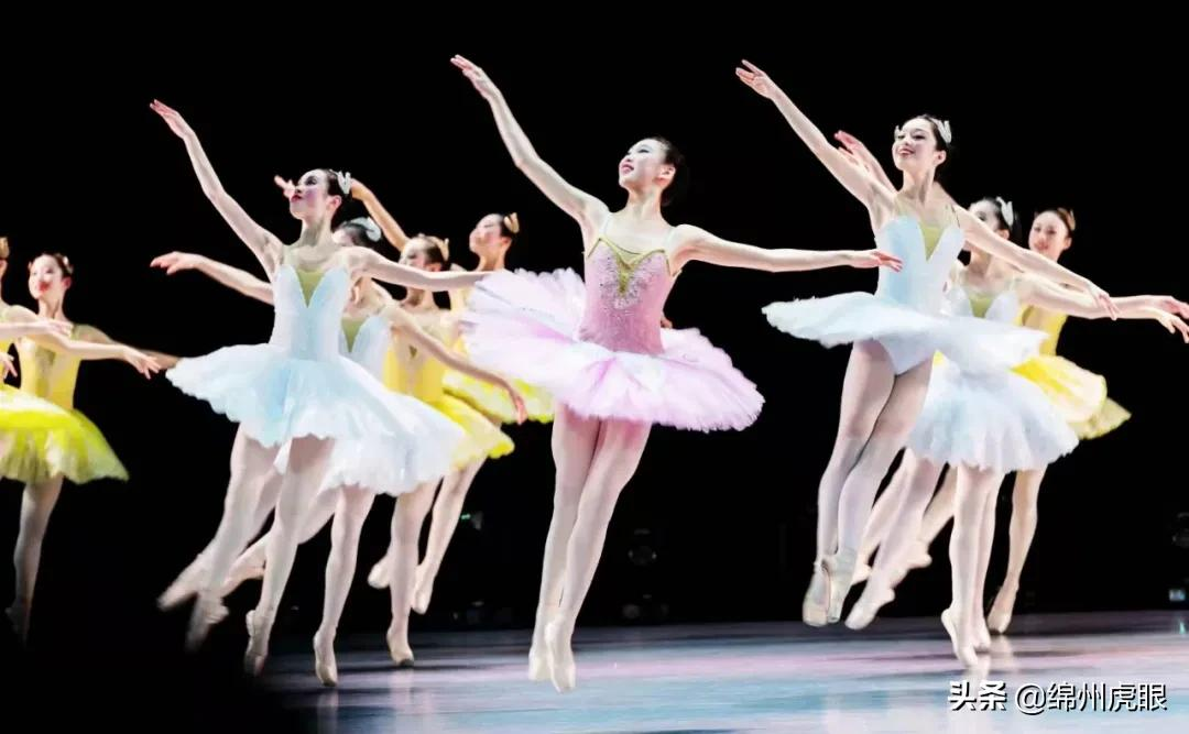 名校如林，优秀人才遍布四海！涪城抢占新型职教高地