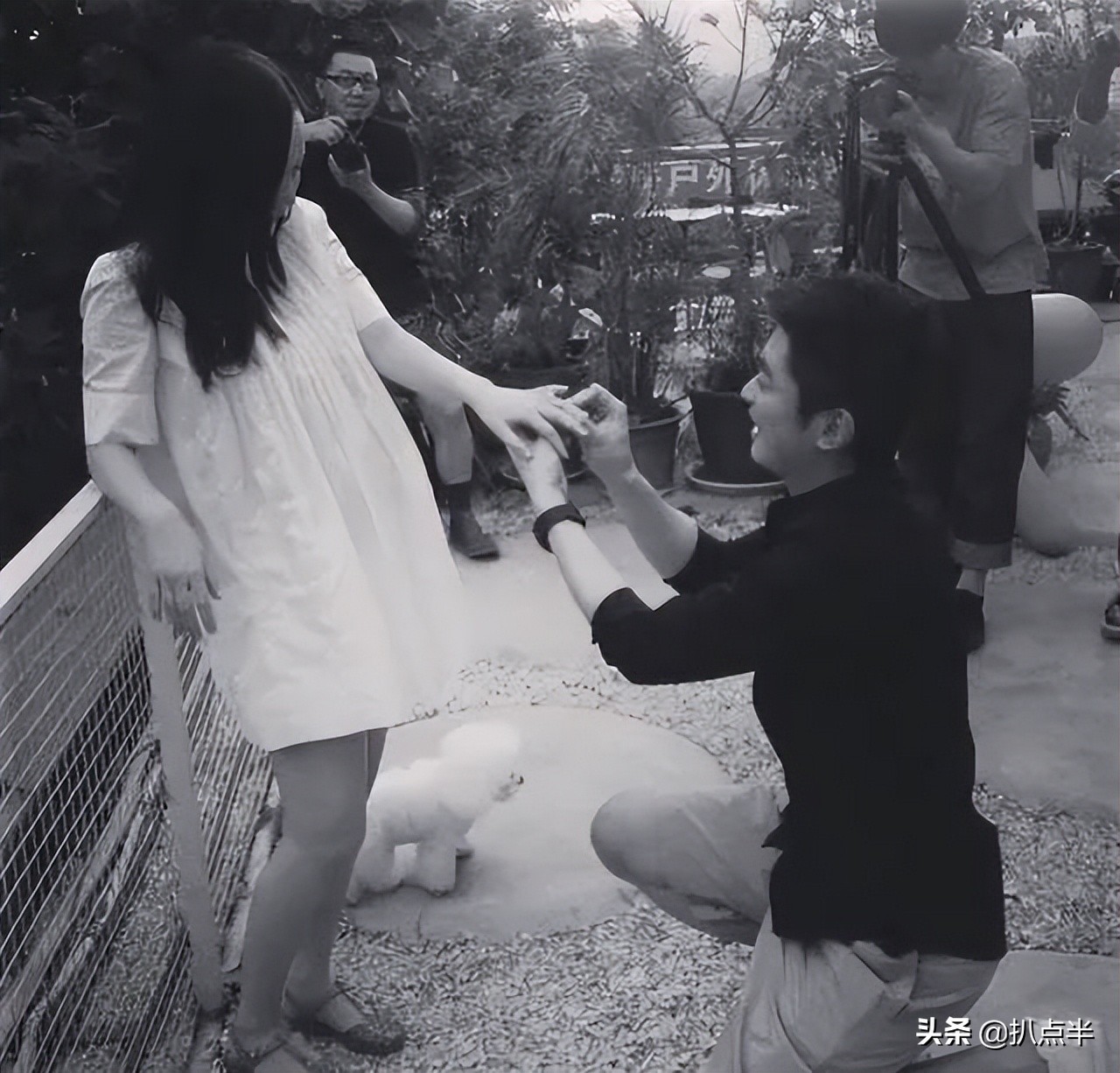 8位男演员均以偶像身份走红，生活中却偏偏成了“宠妻狂魔”