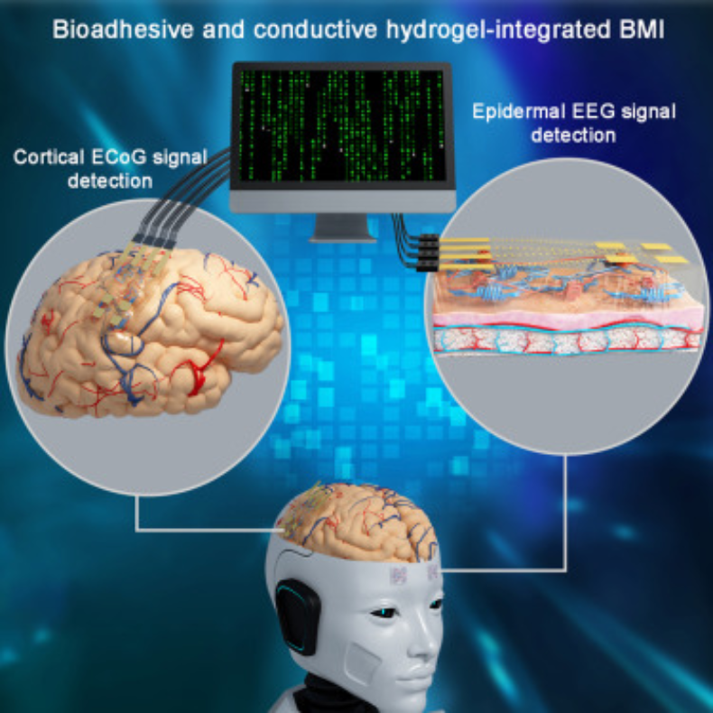 中国科学家研发柔性脑机接口，在10Hz左右找到α波