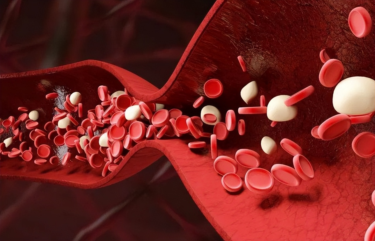 哪些蔬菜吃之前需要焯水？为了健康，建议提前了解，记得转告亲朋