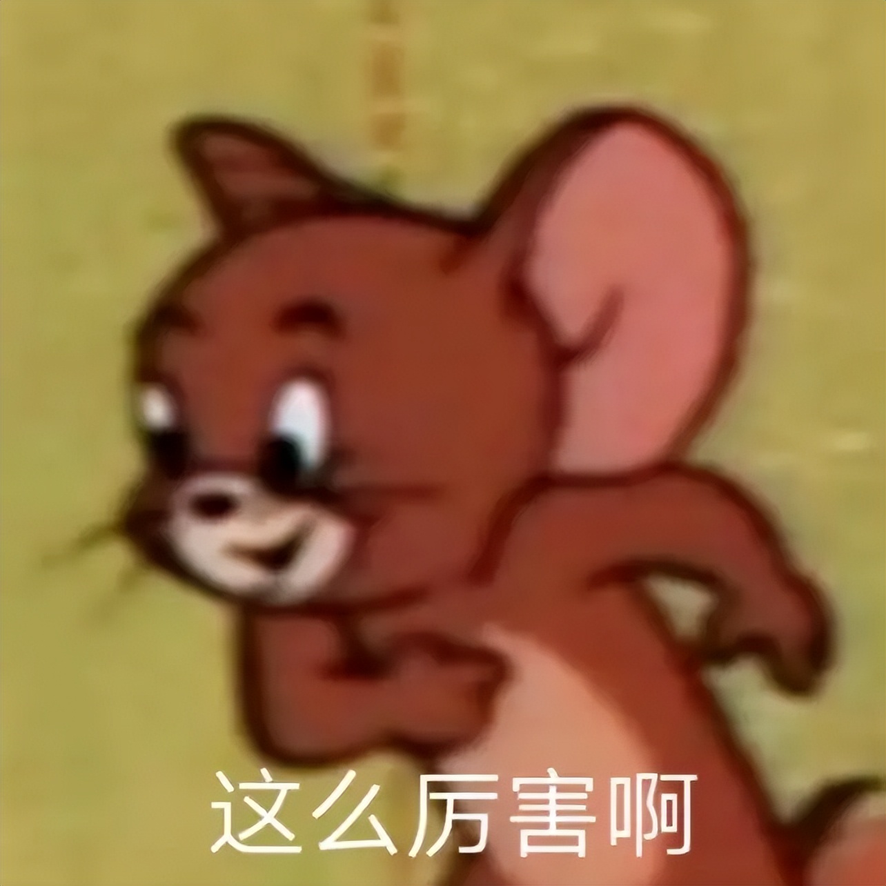 今天做 明天回！消化内科息肉日间手术精细治疗 方便患者