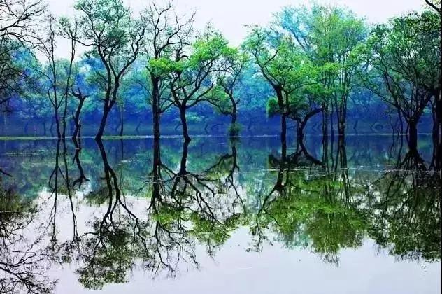 江西十大冷门景点，人少景美好玩
