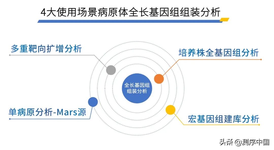 微远新品Solar System：助力微生物基因组智能自动化分析