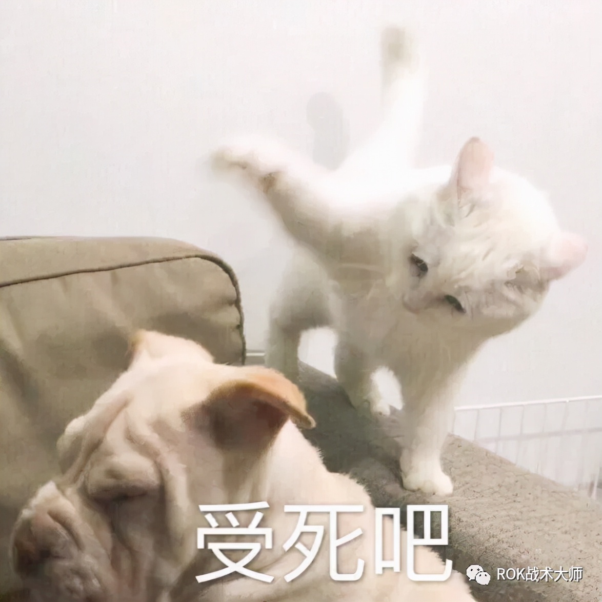 万国觉醒丨图拉真装备推荐