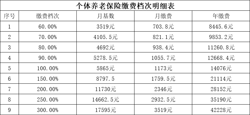 个体养老保险缴费档次明细表（灵活就业人员）