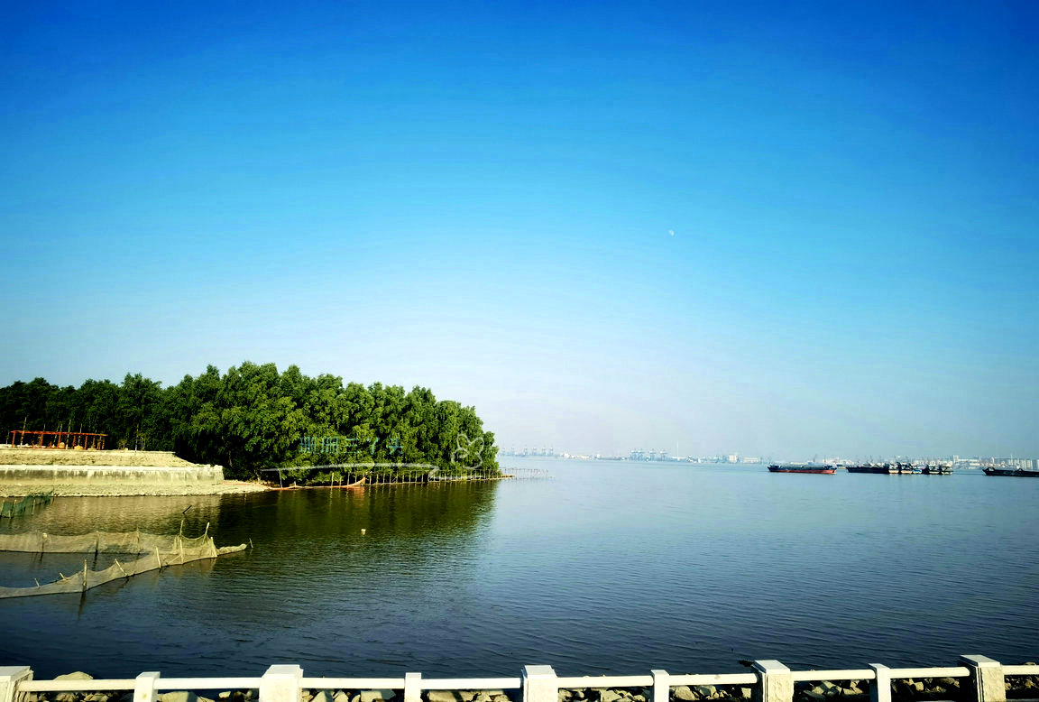 广州“小众”景点，向海而生，是国家级渔港，1天游玩详细攻略