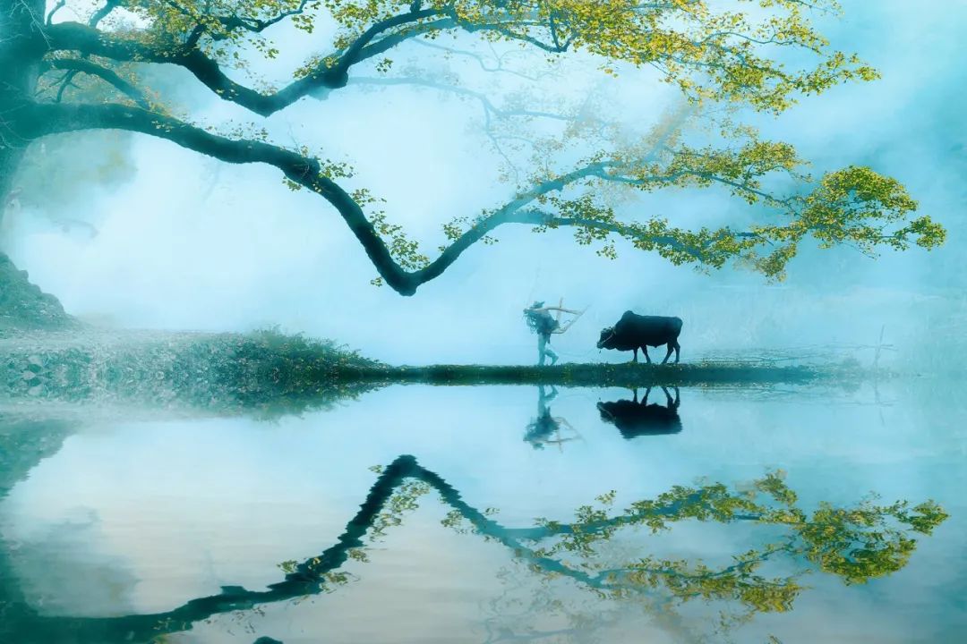 0首唯美山水田园诗(小学田园诗)"