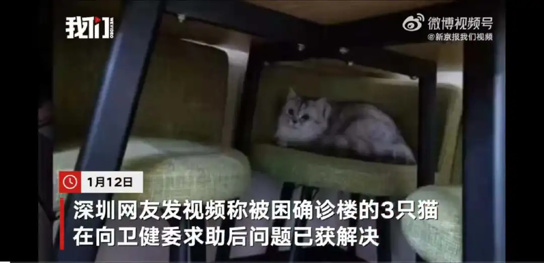 打擦边球，涨粉1700万！中国最“不正经”的官媒，比杜蕾斯还会玩